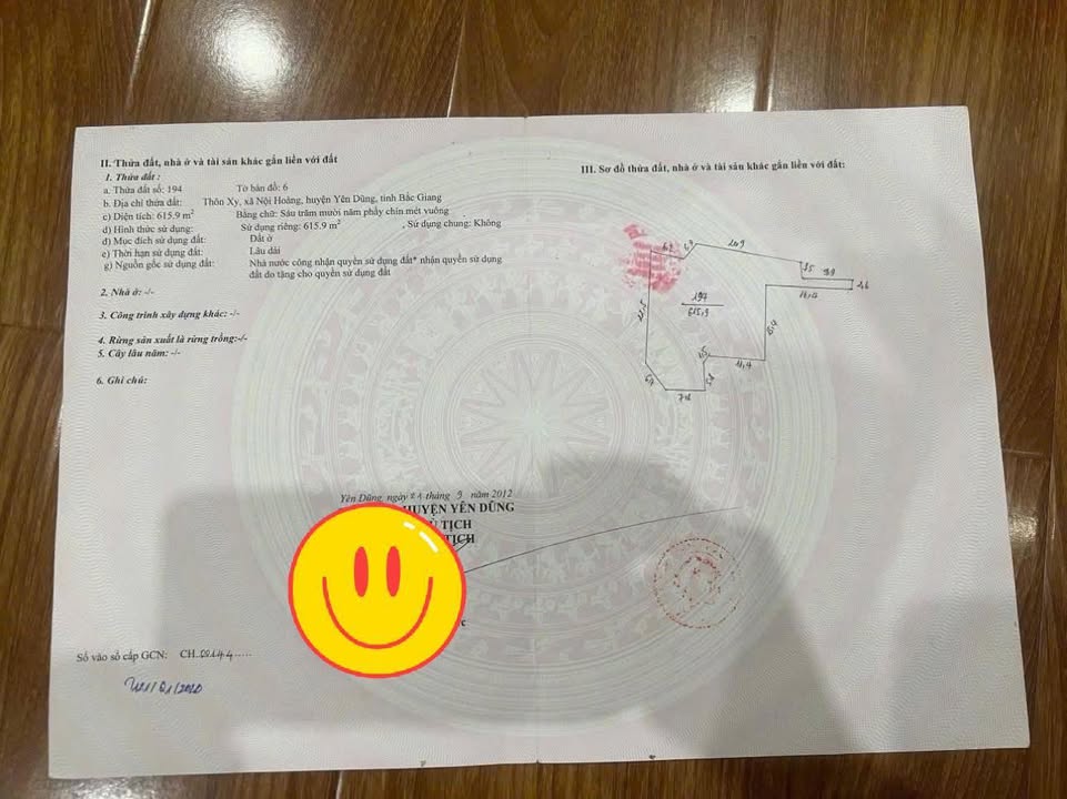 Lô đất thổ cư 615m² tại Nội Hoàng, Yên Dũng - Tiềm năng đầu tư sinh lời!