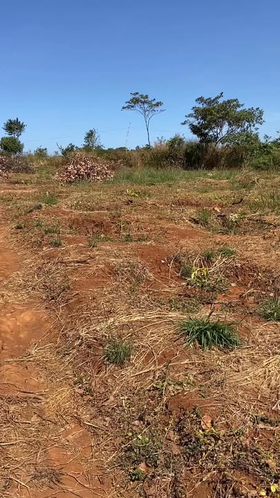 Đất nền 1.8ha tại xã Quảng Tín, Đắk R'Lấp giá 3.1 tỷ - Sổ đỏ chính chủ!