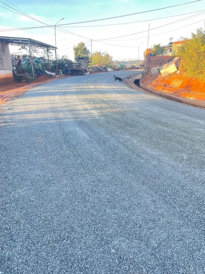 Đất nền Quảng Trực, Tuy Đức 270m² giá 550 triệu - Cơ hội đầu tư tuyệt vời!