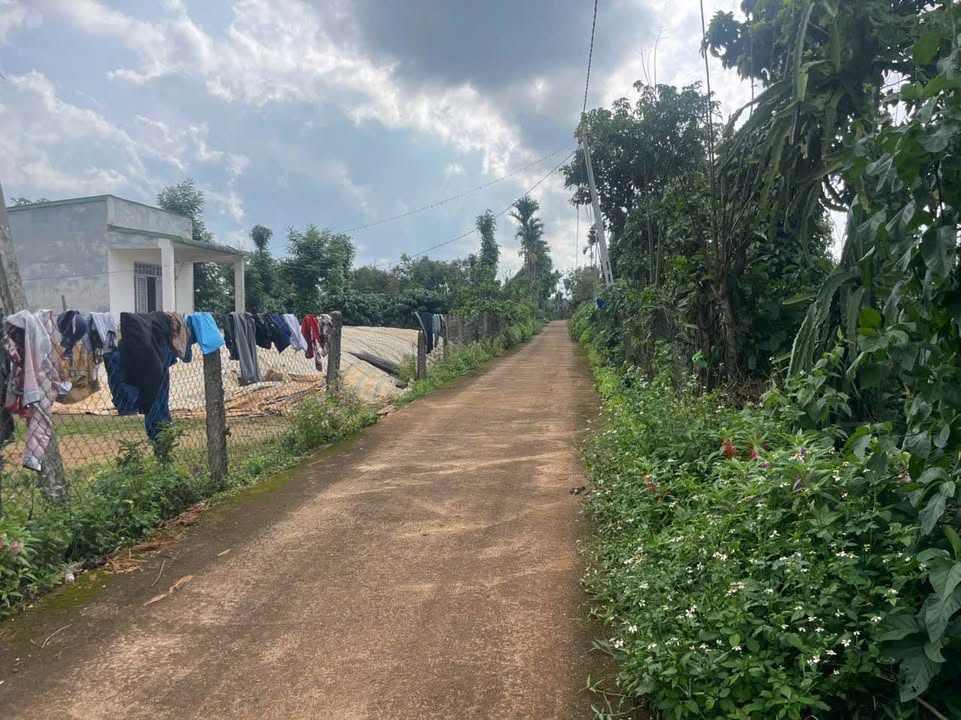 Đất nền 4,6 sào Thôn 12, Xã Nhân Cơ - Giá chỉ 1 tỷ, sổ đỏ chính chủ!