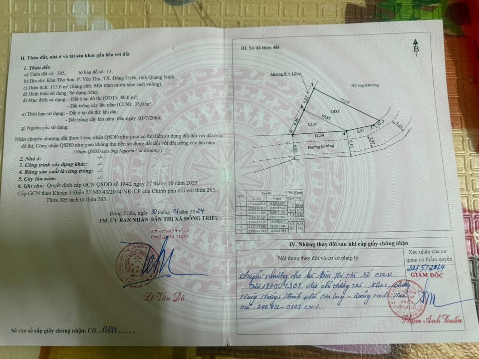 Đất nền Yên Thọ, Đông Triều 115m² giá thỏa thuận - Đầu tư sinh lời lý tưởng!