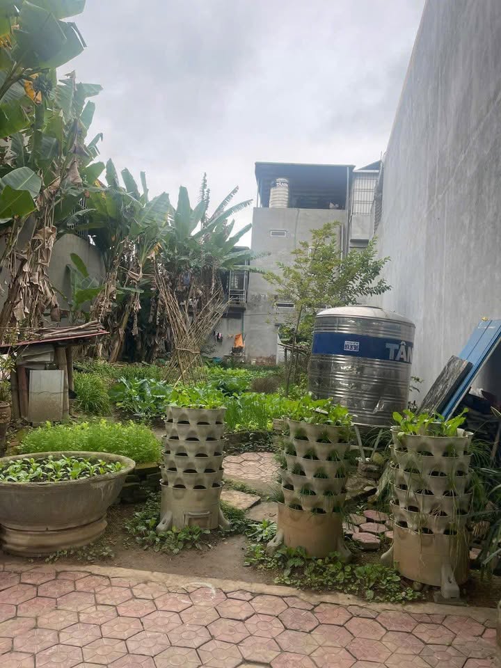 Đất mặt đường Võ Nguyên Giáp Lào Cai 100m² giá 2.2 tỷ - Đầu tư sinh lời nhanh!