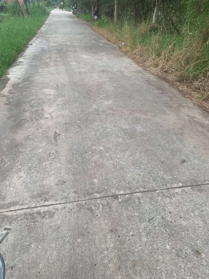 Bán đất mặt tiền lộ Đan, xã Mỹ Chánh, huyện Ba Tri, Bến Tre - Giá chỉ 750 triệu!