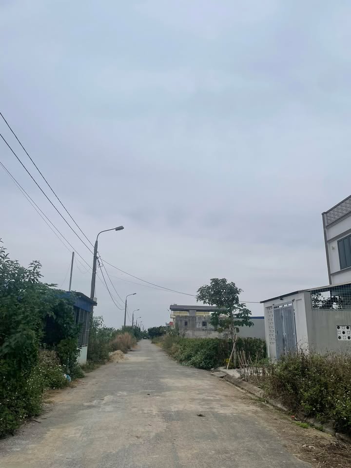 Đất nền Tân Viên An Lão 85m² giá 1.05 tỷ - Cơ hội đầu tư tuyệt vời!