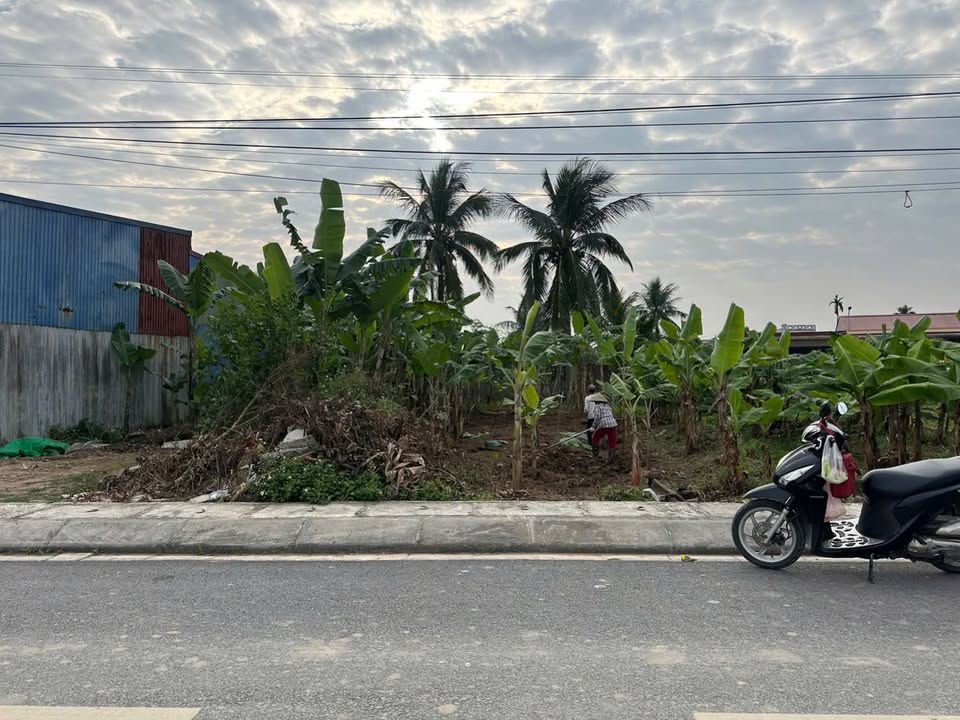 Đất nền Quốc Tuấn, An Lão 118m² giá 1 tỷ - Đường rộng ô tô tránh nhau!