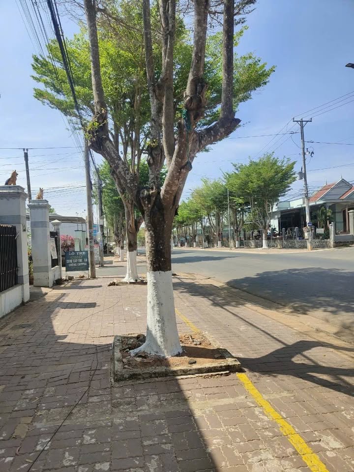 FrontHouse mặt tiền đường Huỳnh Minh Thạnh, Phước Bửu 360m² giá 7.2 tỷ - Cơ hội đầu tư hấp dẫn!