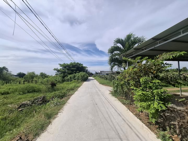 Đất nền thổ cư 100m² tại Hàm Liêm - Mặt tiền ô tô, giá tốt!