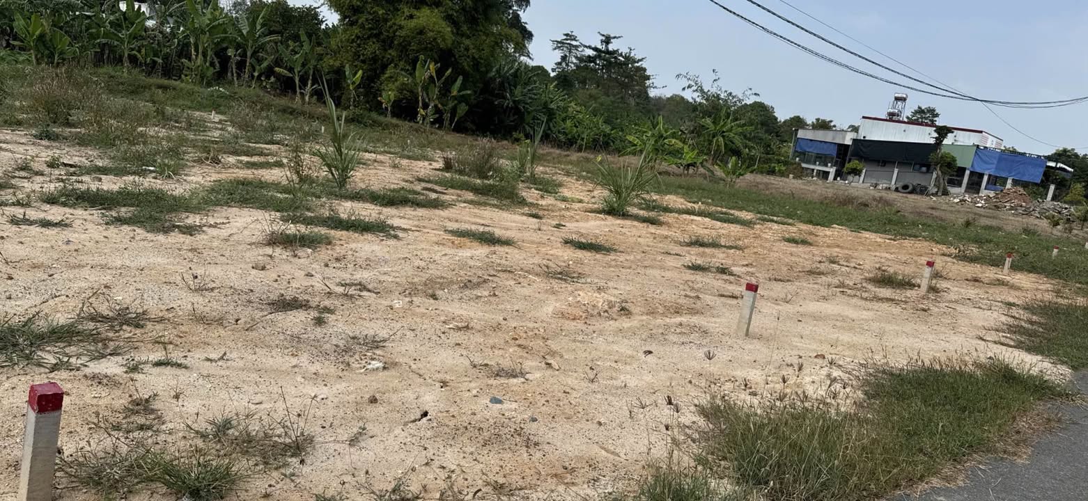 Đất nền Ngãi Giao, Châu Đức 140m² giá 720 triệu - Đầu tư sinh lời ngay!