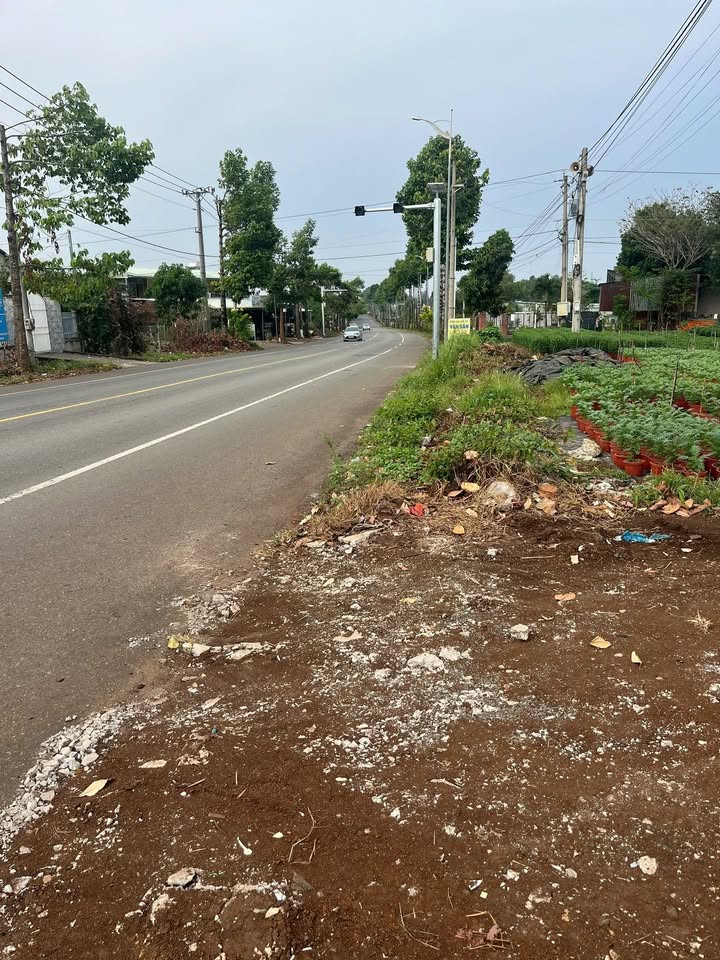 Đất nền Châu Đức Bà Rịa - Vũng Tàu 210m² giá 2.1 tỷ - Đầu tư sinh lời ngay!