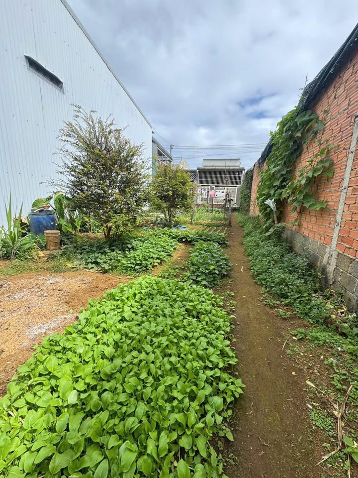 Đất nền trung tâm Đà Lạt 96m² giá 2 tỷ - Cơ hội đầu tư tuyệt vời!