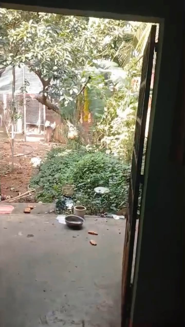 Nhà cho thuê hẻm Phú Riềng Đỏ, Đồng Xoài 3PN - Giá chỉ 3.5 triệu/tháng!