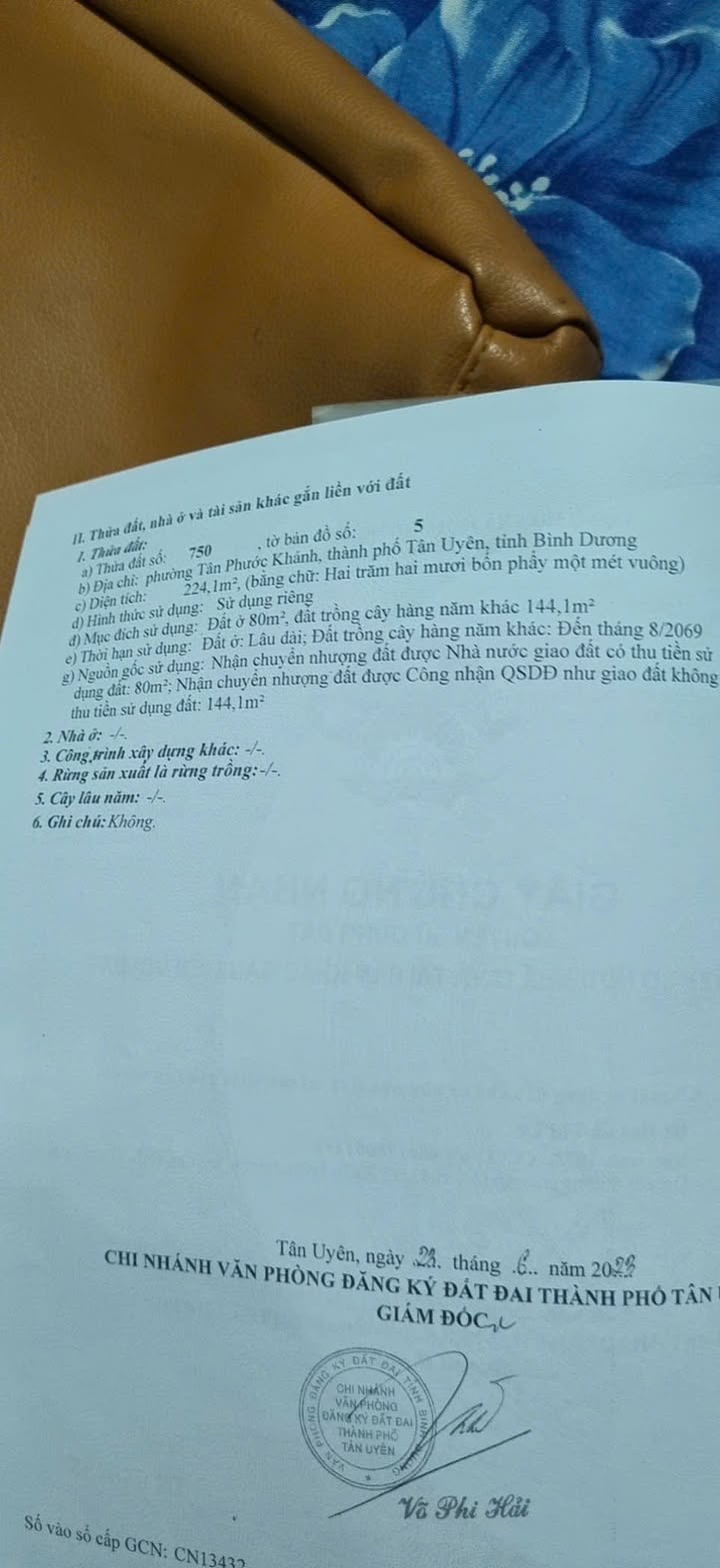 Lô đất Tân Khánh 245m² sổ hồng riêng - Đầu tư lý tưởng cuối năm!