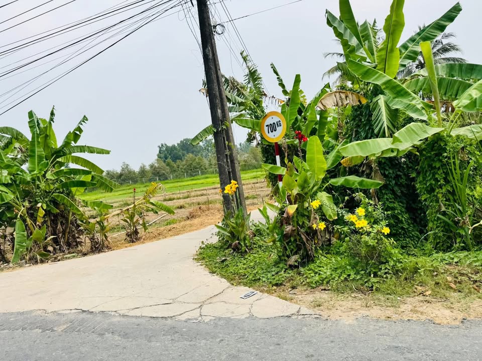 Đất vườn An Phước, Mang Thít 898m² giá 750 triệu - Cơ hội đầu tư tuyệt vời!