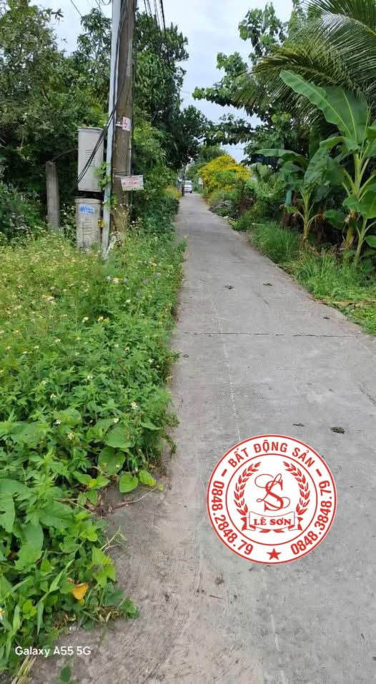 Bán đất nền ấp Tân Quới, Thạnh Đông, An Giang 2100m² - Sổ hồng chính chủ, giá tốt!