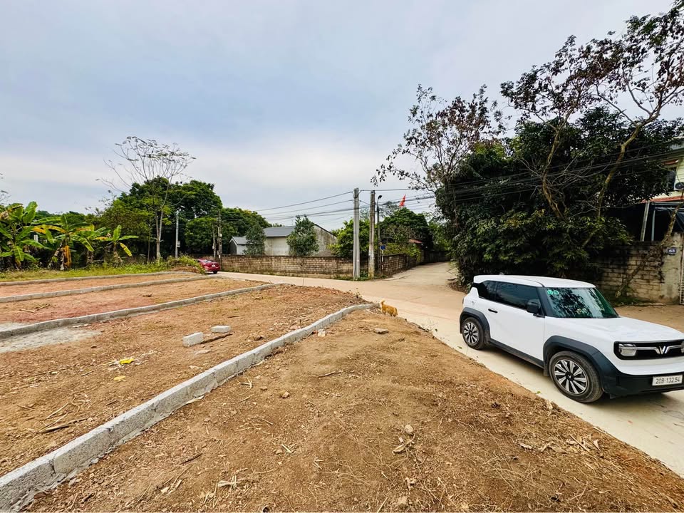 Bán đất Thịnh Đán Thái Nguyên 113,5m² giá 1.1 tỷ - Cơ hội đầu tư không thể bỏ lỡ!