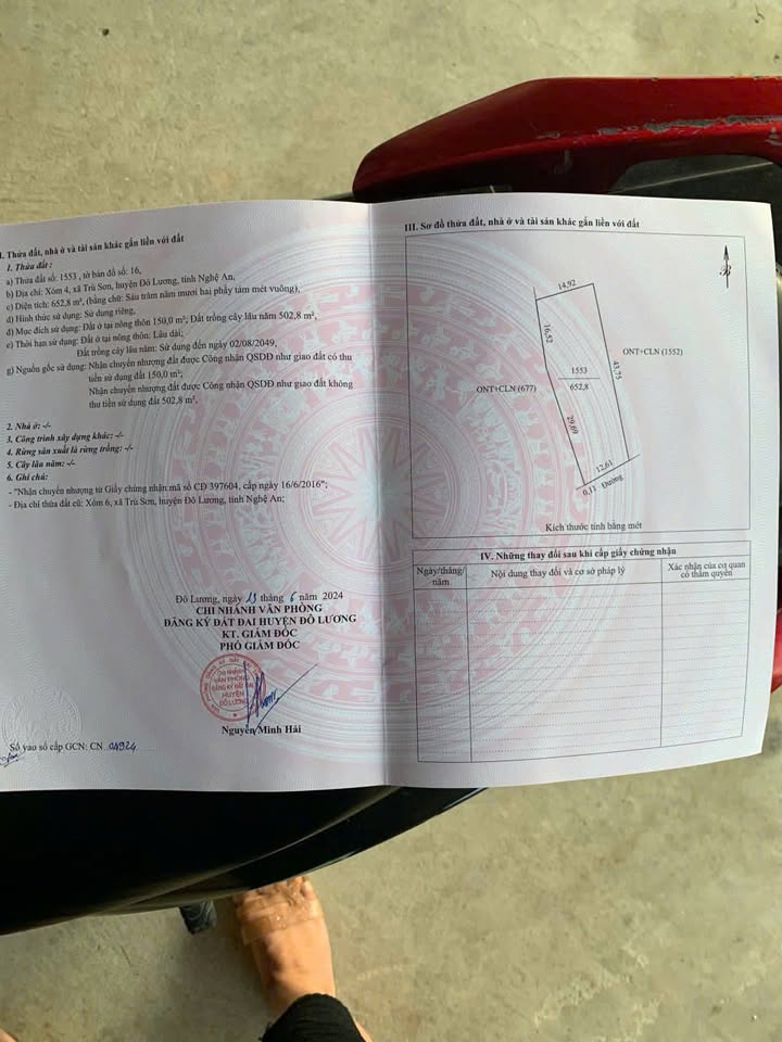 Lô đất thổ cư Trù Sơn, Đô Lương 652m² giá chỉ 200 triệu - Cơ hội đầu tư tuyệt vời!