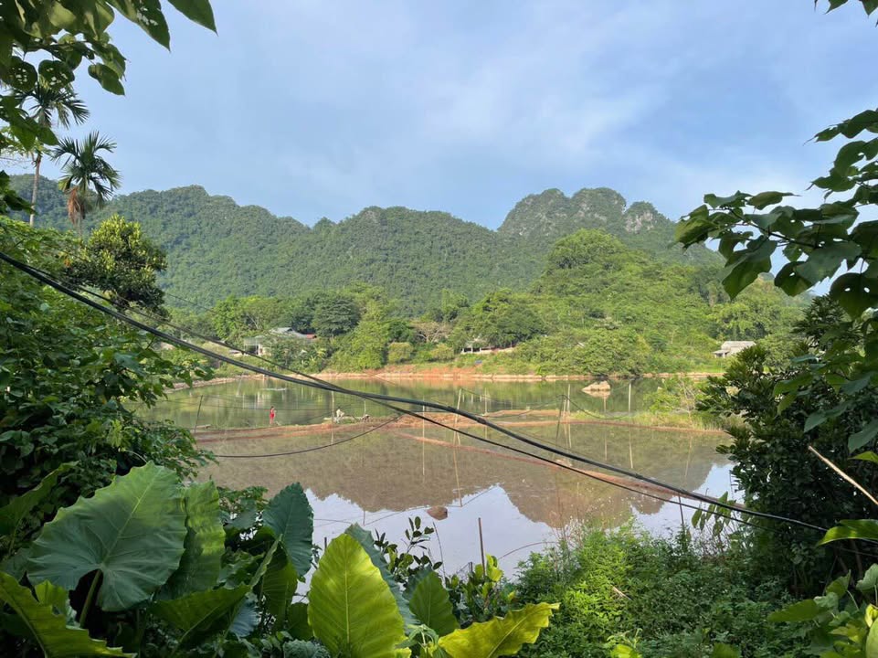 Đất nền Phú Vinh Tân Lạc 600m² giá 399 triệu - Thế đất cao, view hồ tuyệt đẹp!