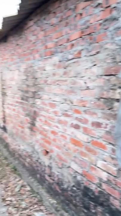 Đất nền góc xã Bình An, 432m² chỉ 1 tỷ - Cơ hội đầu tư hấp dẫn!