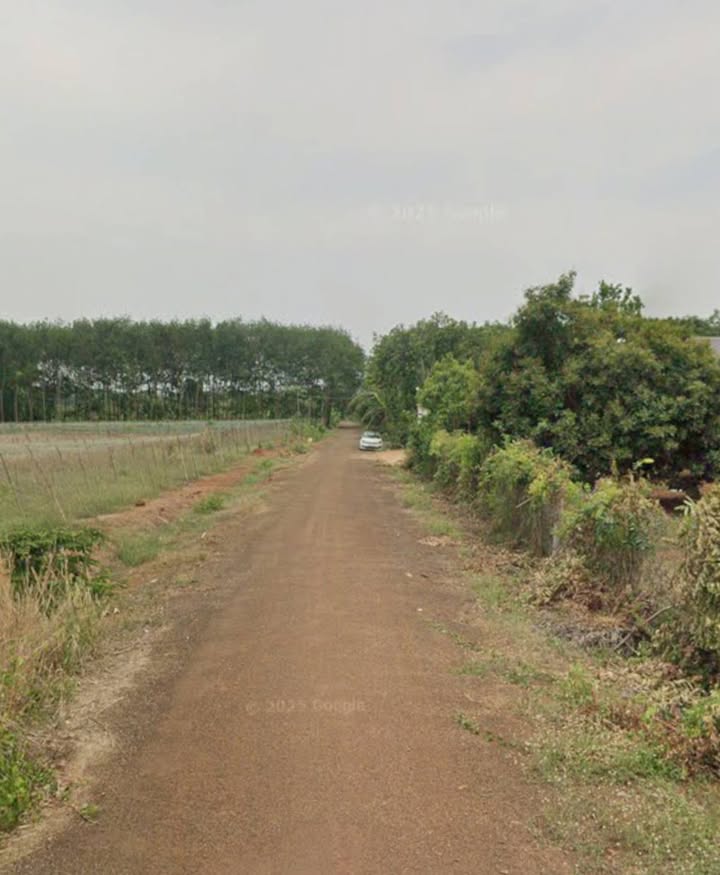 Bán đất Tiến Thành, Đồng Xoài 3000m² - Đầu tư lý tưởng cho nhà vườn!