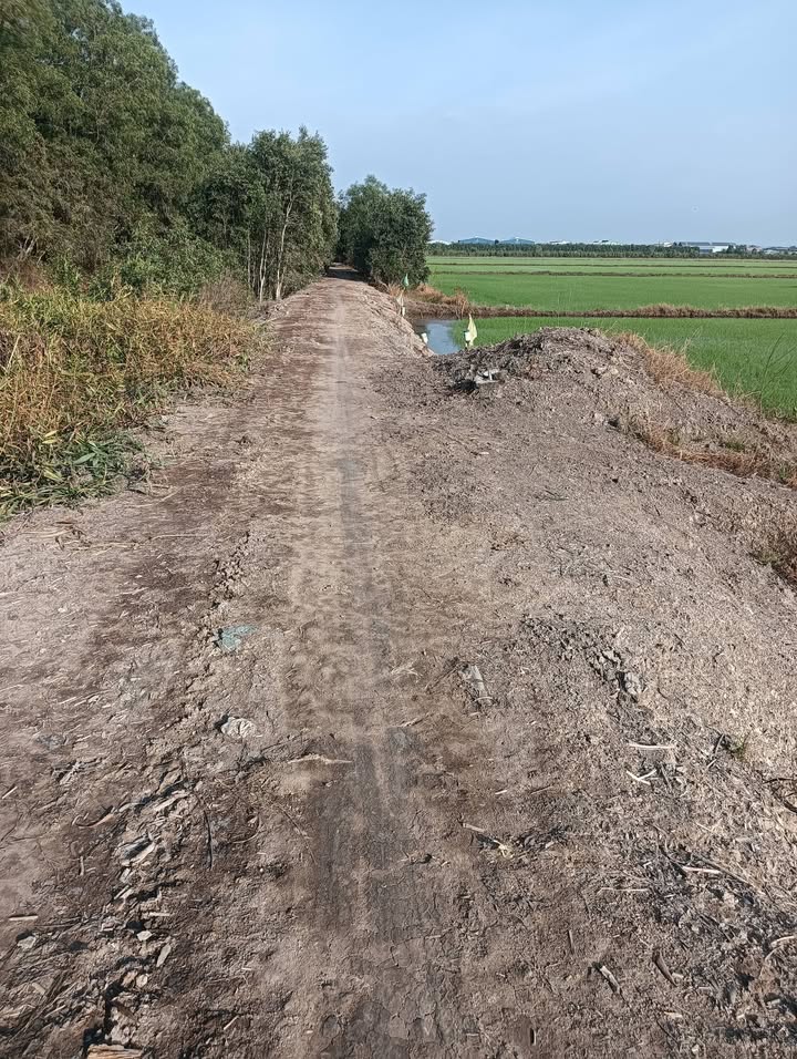 Đất nông nghiệp Tân Đông Thạnh Hóa 10800m² giá 600 triệu - Đường vào rộng rãi, tiềm năng phát triển!