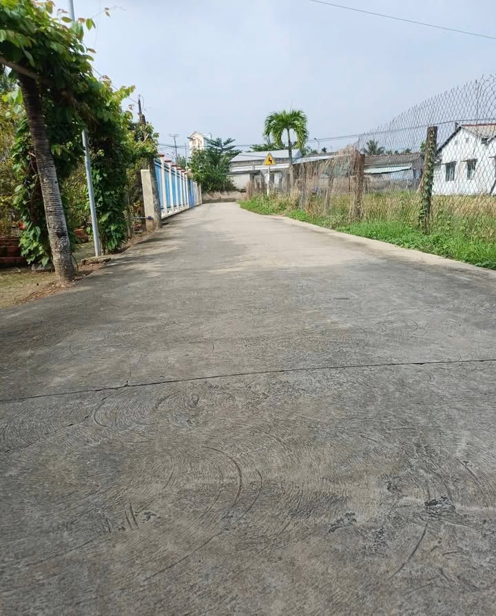 Đất mặt tiền đường Chín Dương, Thạnh Phú, Châu Thành, 1200m² - Giá chỉ 3 tỷ!