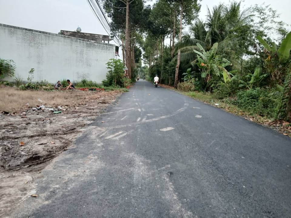 Đất thổ cư mặt tiền đường Trần Thị Thơm, Mỹ Tho 175m² giá 1.75 tỷ - Cơ hội đầu tư tuyệt vời!