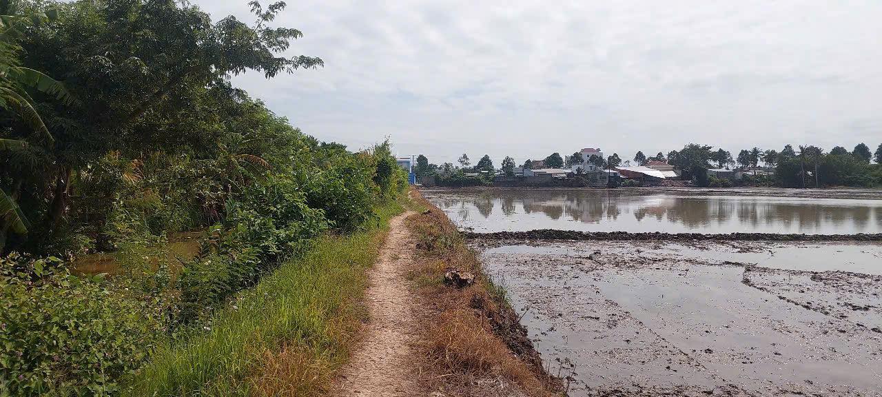 Đất nền 3000m² tại phường 5, Sóc Trăng - Giá chỉ 390 triệu, sổ đỏ chính chủ!