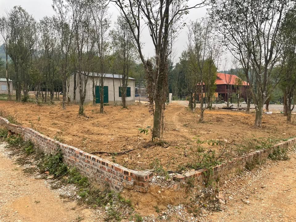 Đất 1.000m² 3 mặt tiền tại Minh Tân, Sóc Sơn - Nhà cấp 4 sẵn có, đầu tư lý tưởng!