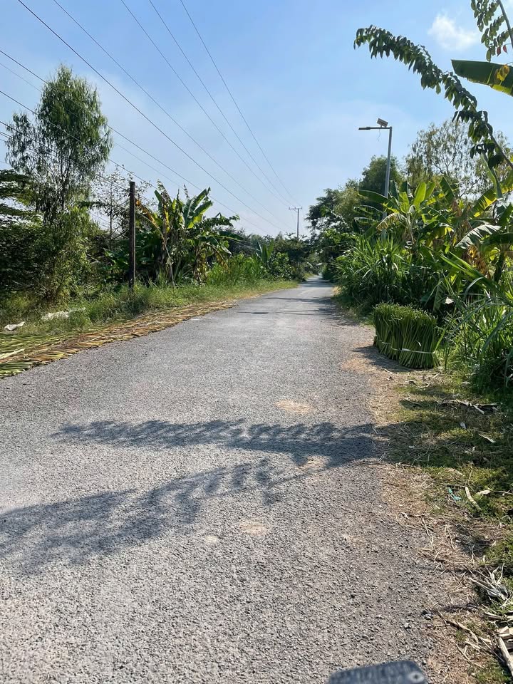 Đất nền mặt tiền đường nhựa Thị Trấn Thanh Bình 280m² giá 600 triệu - Cơ hội đầu tư tuyệt vời!