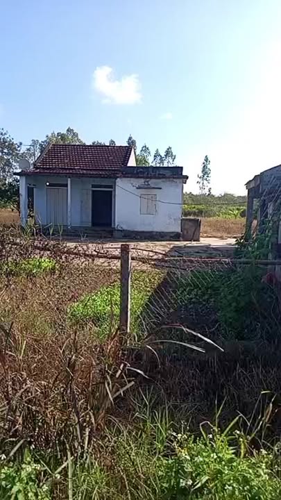 Đất thổ cư 4,2 sào tại Cư Ni, Ea Kar - Sổ hồng chính chủ, giá 1,45 tỷ!