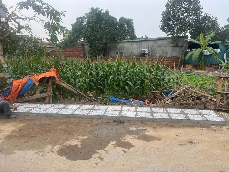 Đất nền Quốc Oai 108m² giá chỉ 4x triệu - Cơ hội đầu tư hấp dẫn!