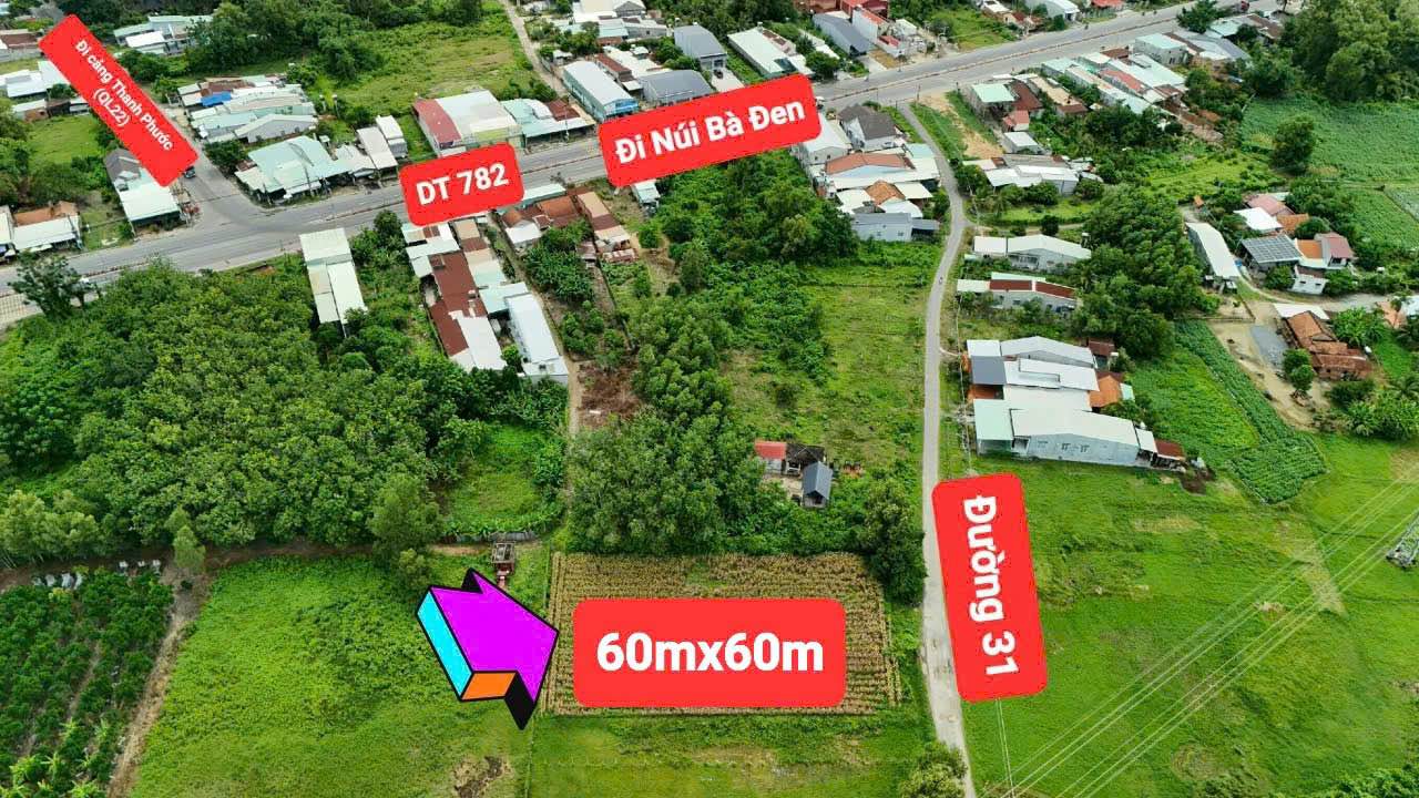 Đất thổ cư 3600m² Hẻm 31 Đường 782, Gò Dầu, Tây Ninh - Giá 12 tỷ, chính chủ bán gấp!