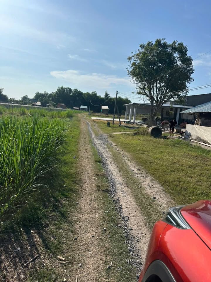 Đất thổ cư 666m² mặt tiền đường ô tô Long Thịnh - Tây Ninh giá chỉ 39 triệu