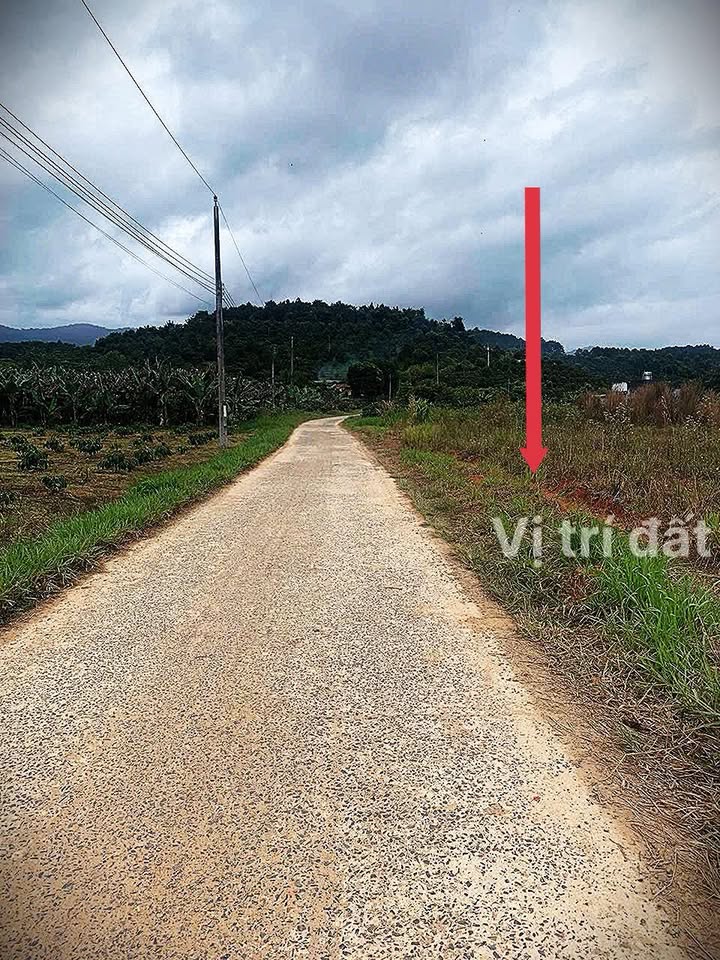 Đất nền Hòa Bắc, Di Linh 2275m² giá 1.5 tỷ - Cơ hội đầu tư tuyệt vời!