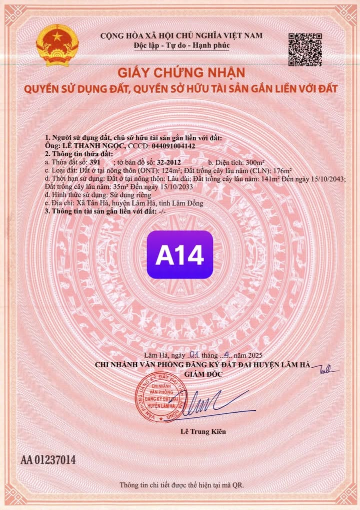 Đất nền Tân Hà Lâm Hà 301m² giá thỏa thuận - Cơ hội đầu tư tuyệt vời!