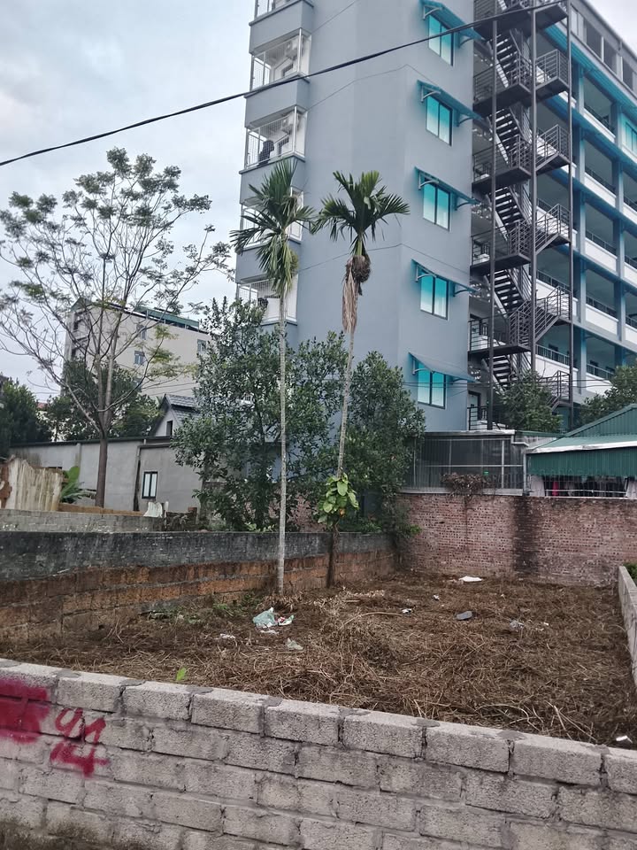 Đất thổ cư 110m² tại Hạ Bằng, Thạch Thất - Tiềm năng đầu tư hấp dẫn!