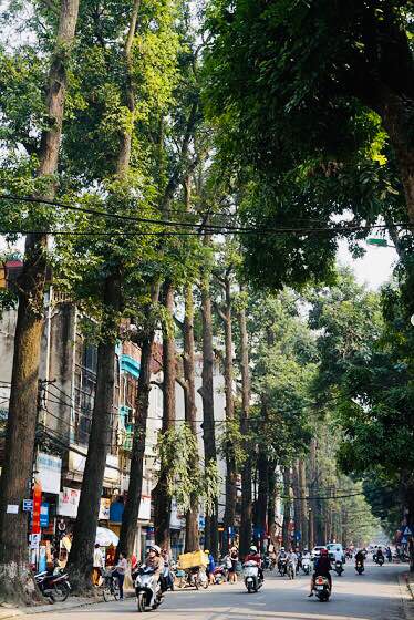 Nhà phố cổ Lò Đúc 35m² giá 3 tỷ - Sổ đỏ chính chủ, an ninh tốt!