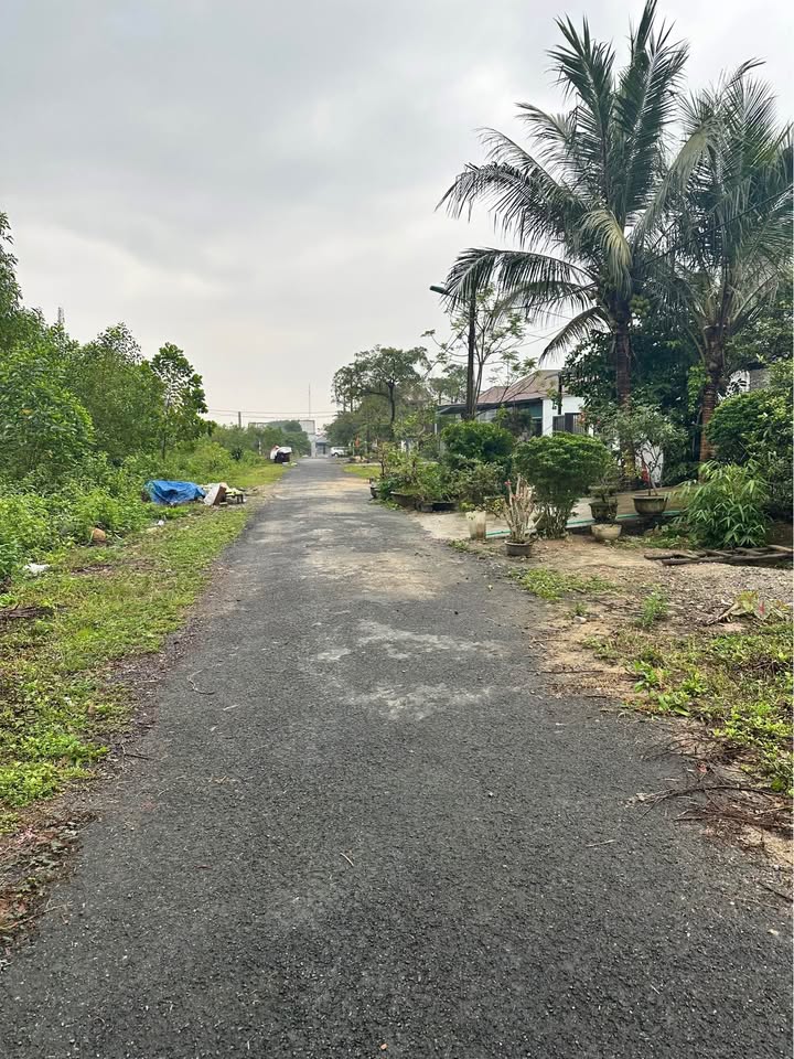 Đất nền Diên Sanh Hải Lăng 1470m² giá 800 triệu - Cơ hội đầu tư hiếm có!