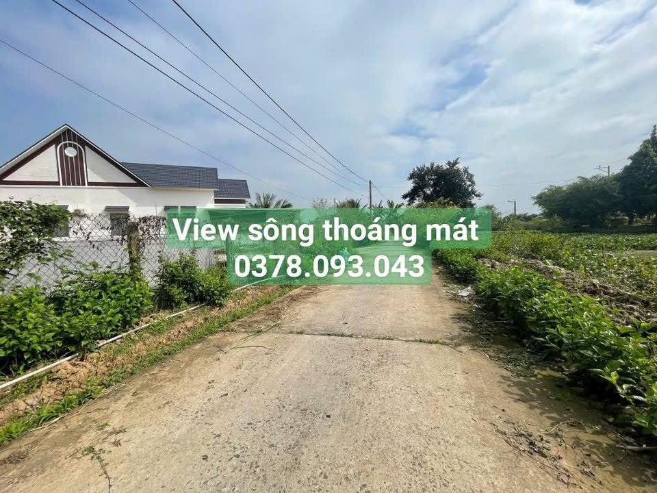 Đất mặt tiền view sông Tân Phú Đông 197m² giá 800 triệu - Vị trí nghỉ dưỡng lý tưởng!