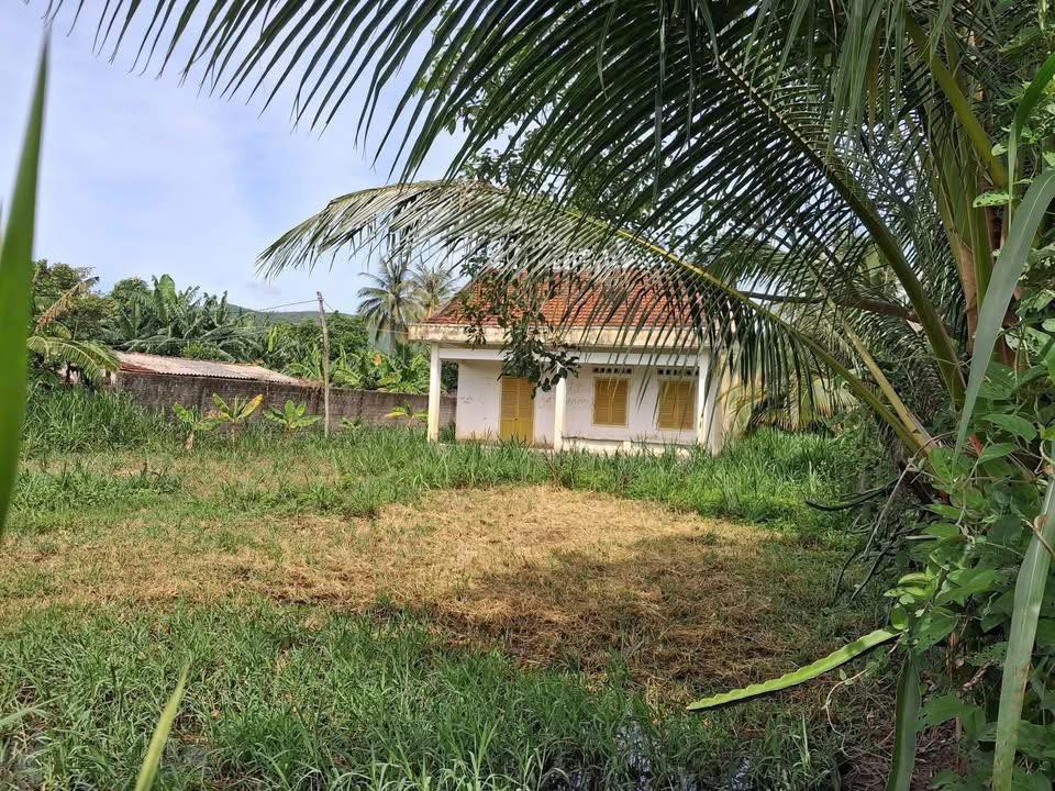 Đất thổ cư Sơn Giang, Sông Hinh 731m² - Giá chỉ 800 triệu, sổ đỏ chính chủ!