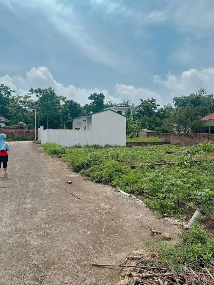 Đất thổ cư tại xã Chu Hóa, TP Việt Trì - 93,6m² giá 600 triệu - Đầu tư sinh lời ngay!