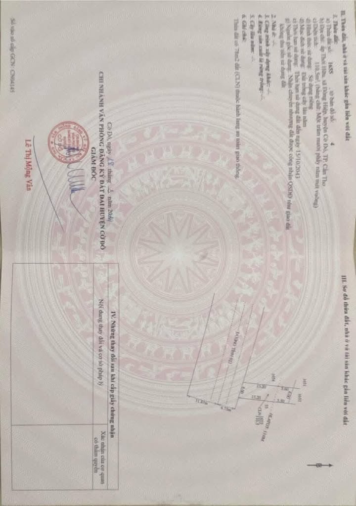 Đất nền ấp Thới Hữu, xã Đông Hiệp, Cờ Đỏ 162m² giá 990 triệu - Đầu tư sinh lời ngay!