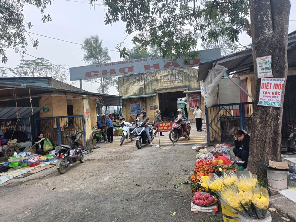 Đất nền Thọ Phú - Quốc lộ 47C - 100m² giá 1.3 tỷ - Đầu tư sinh lời cao!