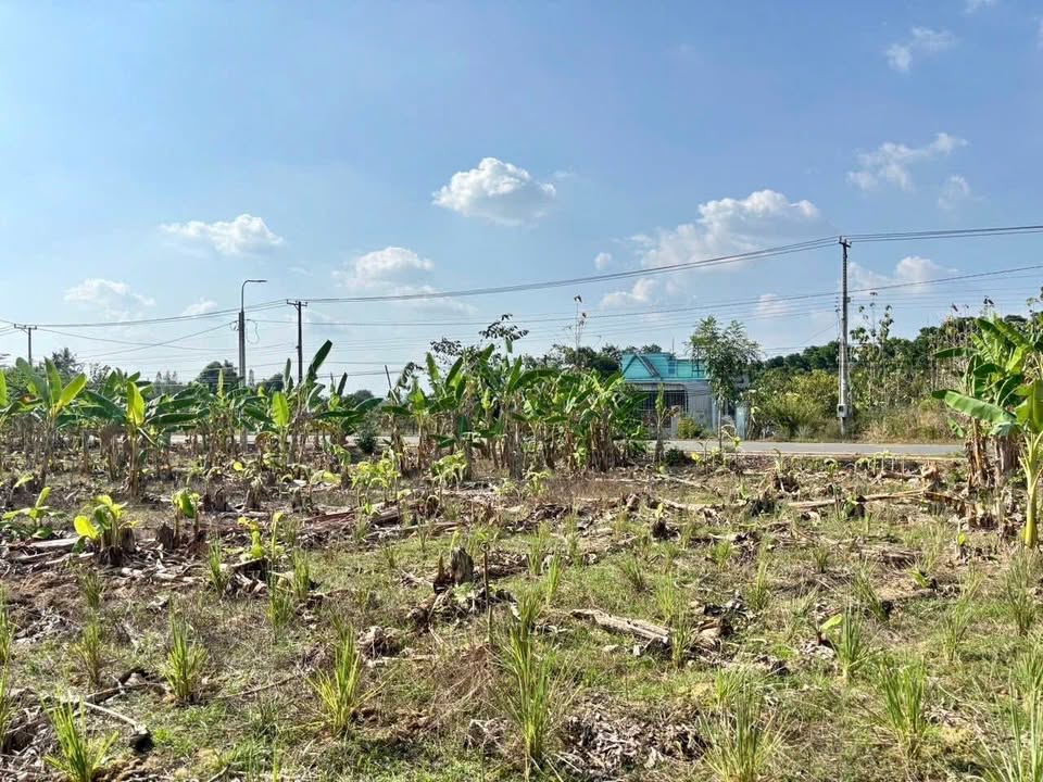 Đất nền Đường 118, Phú Vinh, Định Quán, 222m² giá 800 triệu - Sổ đỏ chính chủ!