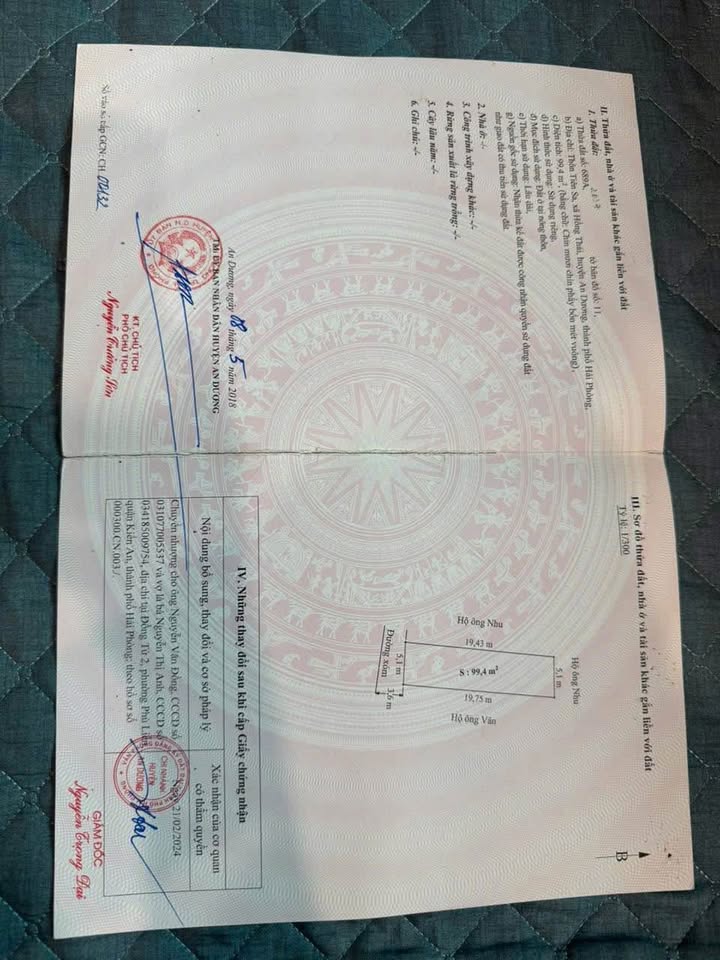 Đất nền 99m² Hồng Thái, An Dương - Gần dự án mở đường, ô tô vào tận nơi!