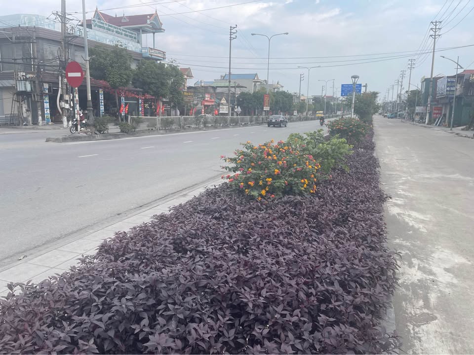 Đất mặt đường Quốc lộ 18A Cẩm Sơn 60m² giá 2 tỷ - Kinh doanh thuận lợi!