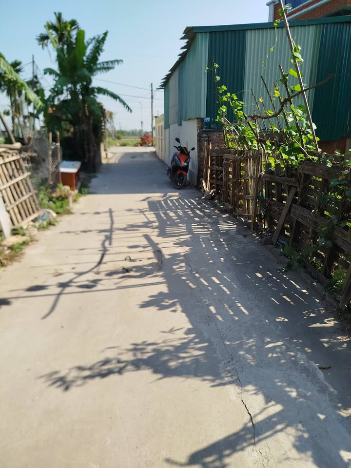 Nhà riêng Tam Hưng Thanh Oai 46m² giá 4.3 tỷ - Ô tô đỗ cổng thoải mái!