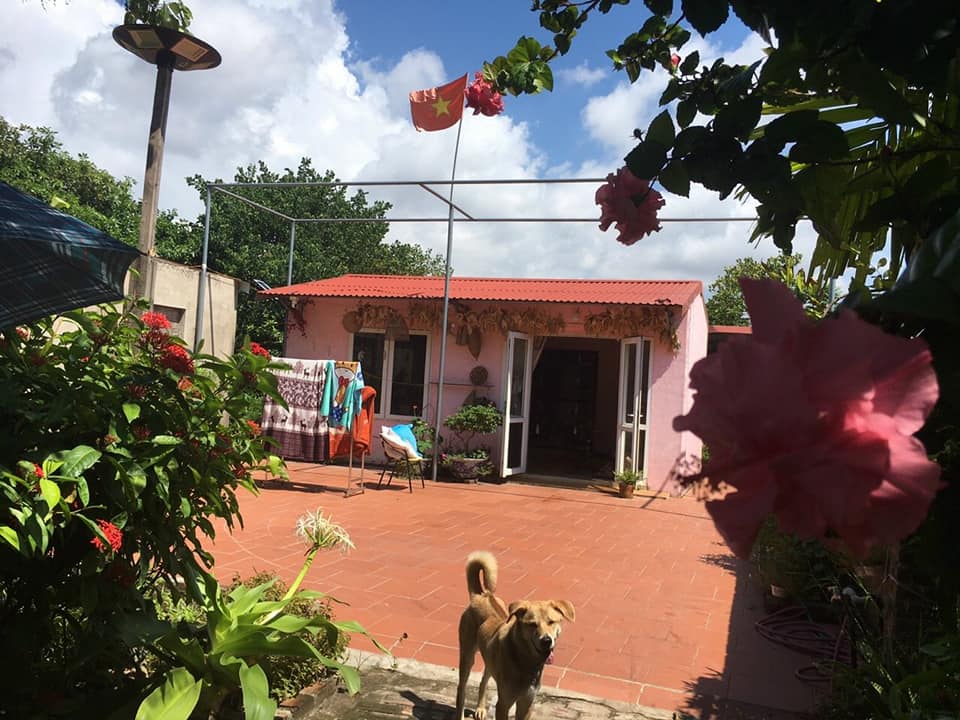 Cho thuê trang trại 3200m² tại đường Thành Tô, Hải An - Phù hợp làm home stay, phim trường!