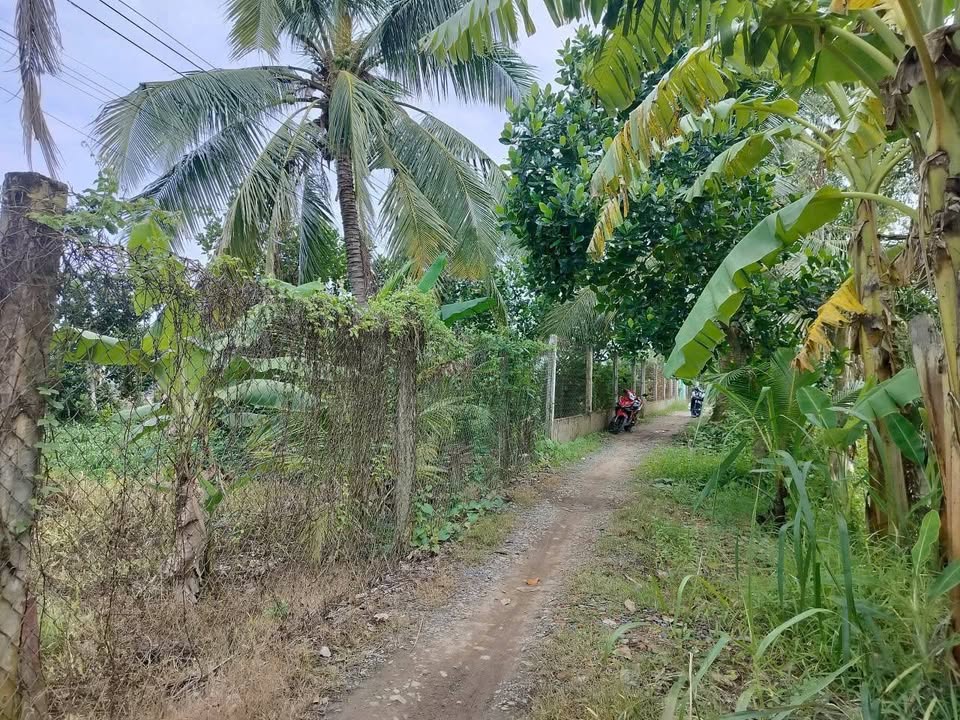 Đất nền mặt tiền sông Phú Thứ, Hưng Phú, Cái Răng, 327m² chỉ 650 triệu - Cơ hội đầu tư hấp dẫn!