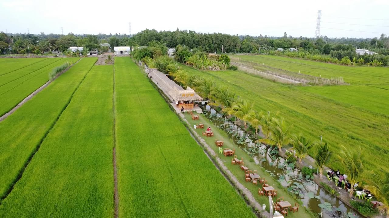 Đất nền Cẩm Thanh Hội An 460m² giá 10 tỷ - Tiềm năng phát triển cao!